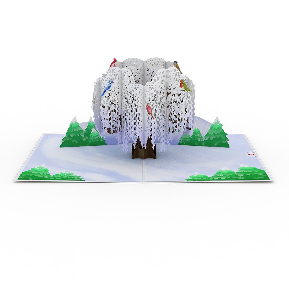 Winter Willow Tree Birds 12-Pack