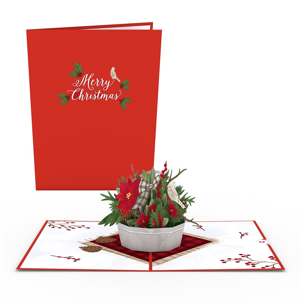 Holiday Value Pack