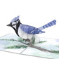 Winter Wishes Blue Jay Bundle