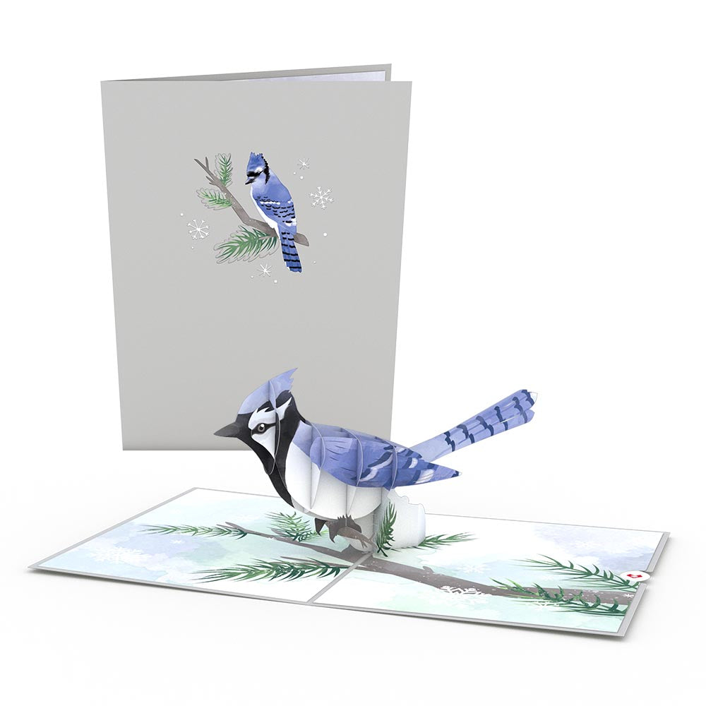 Winter Wishes Blue Jay Bundle