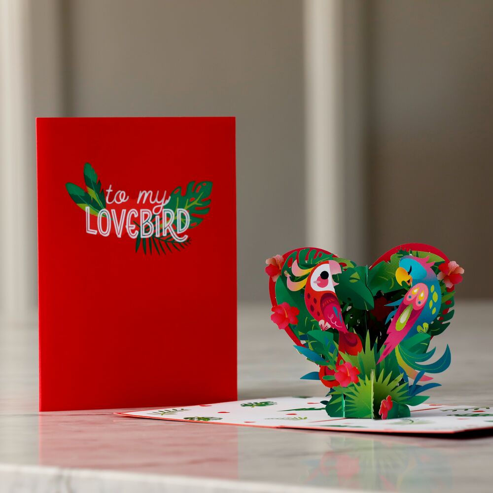 To My Lovebird Pop-Up Card