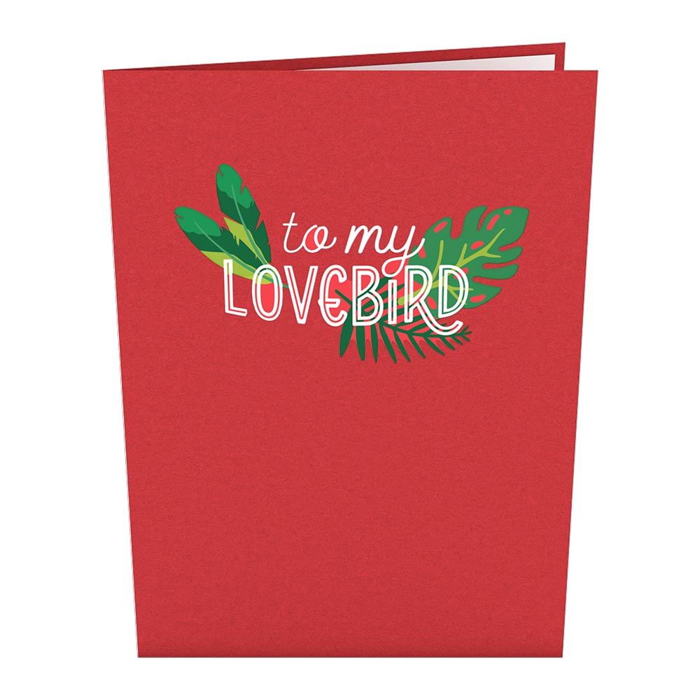 Valentine's Lovebirds Wrapping Paper, Printed in the USA