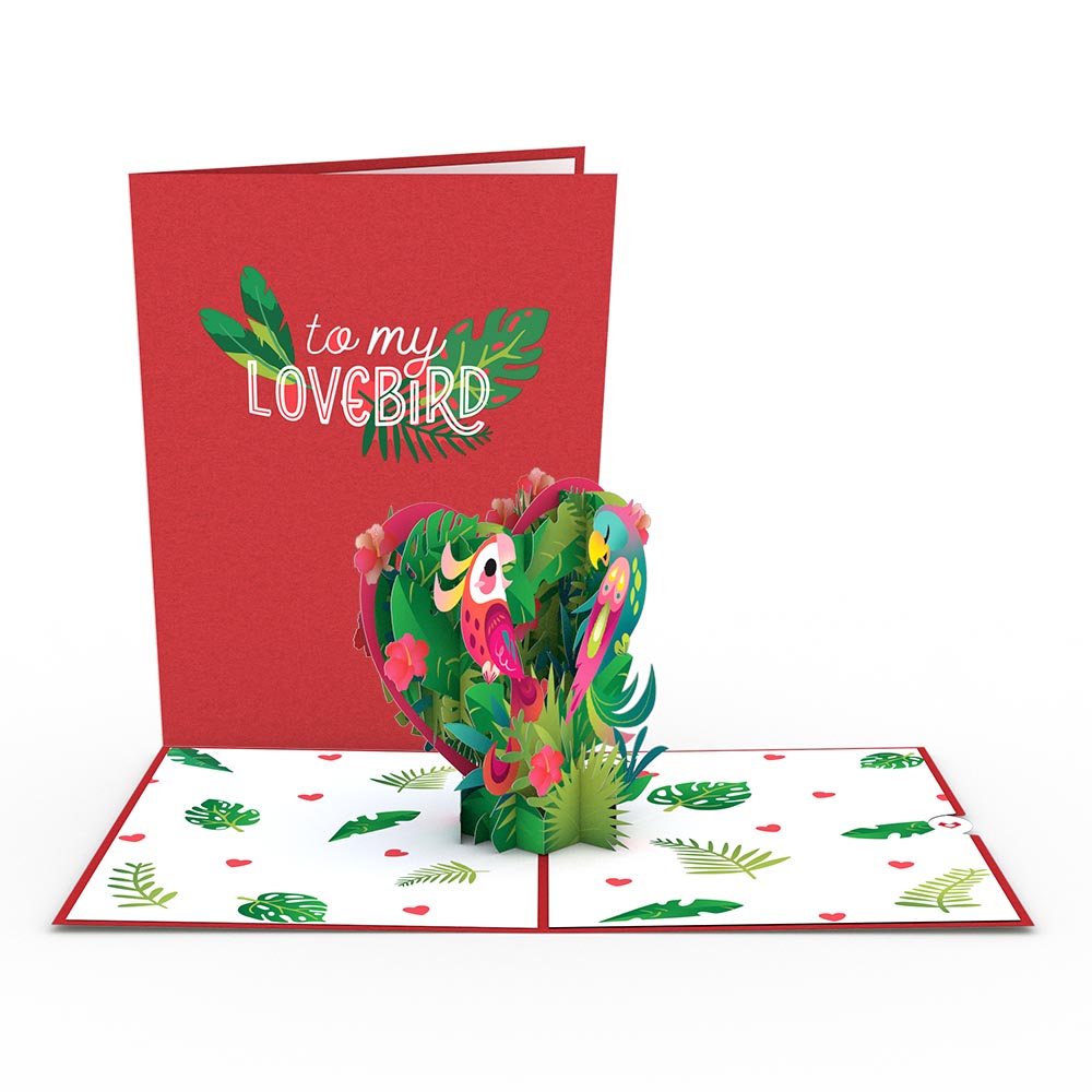 To My Lovebird Pop-Up Card