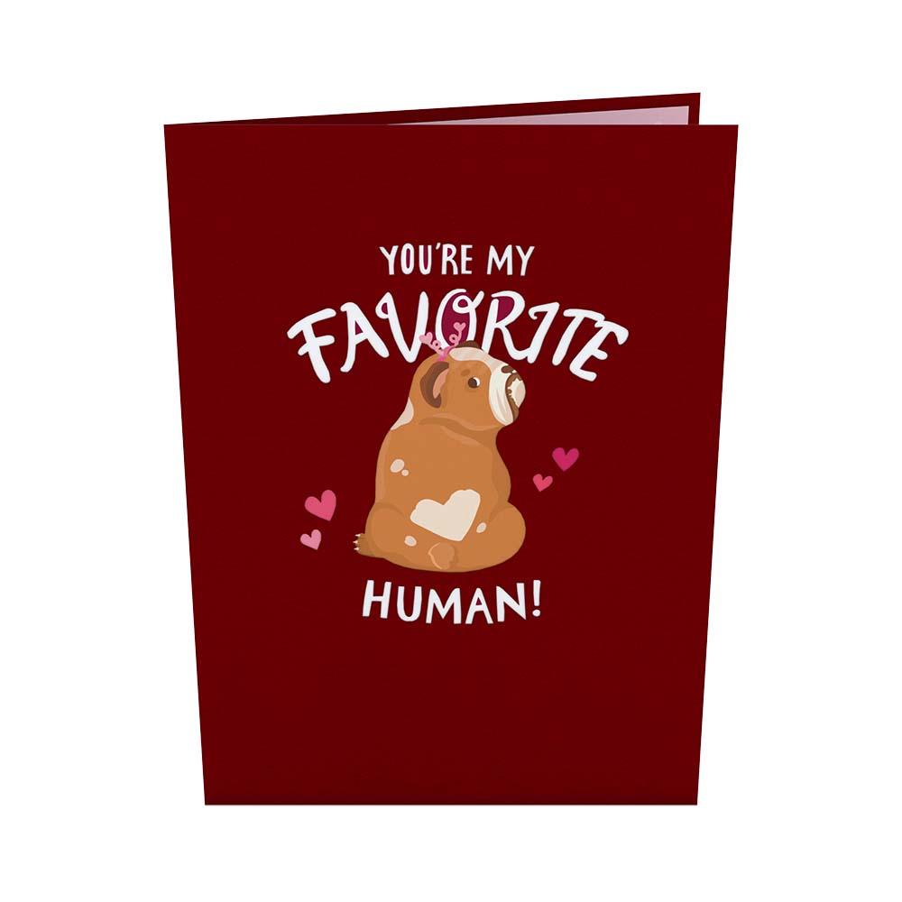 You’re My Favorite Human Pop-Up Card