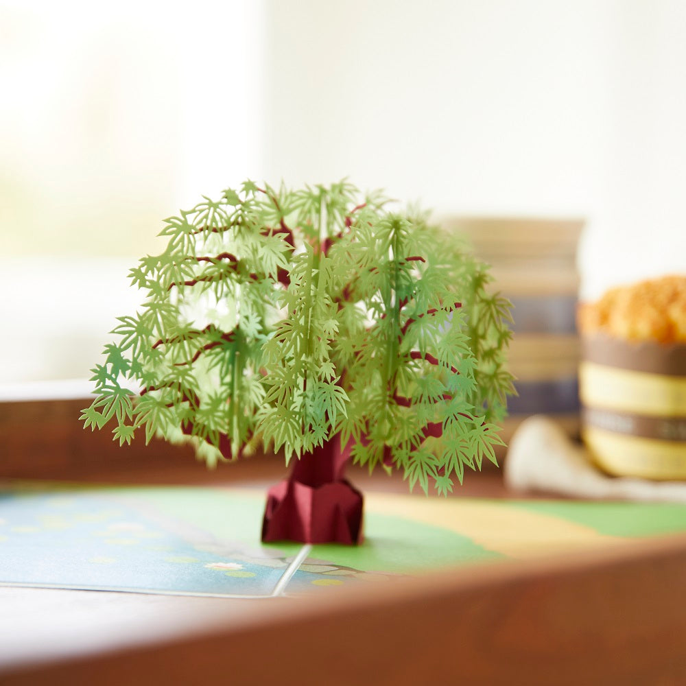 Green Maple Tree Pop-Up Card