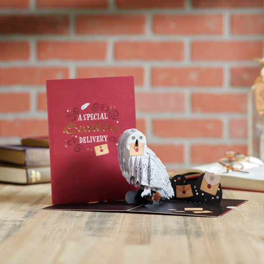 Harry Potter Hedwig™ Birthday Delivery Pop-Up Card