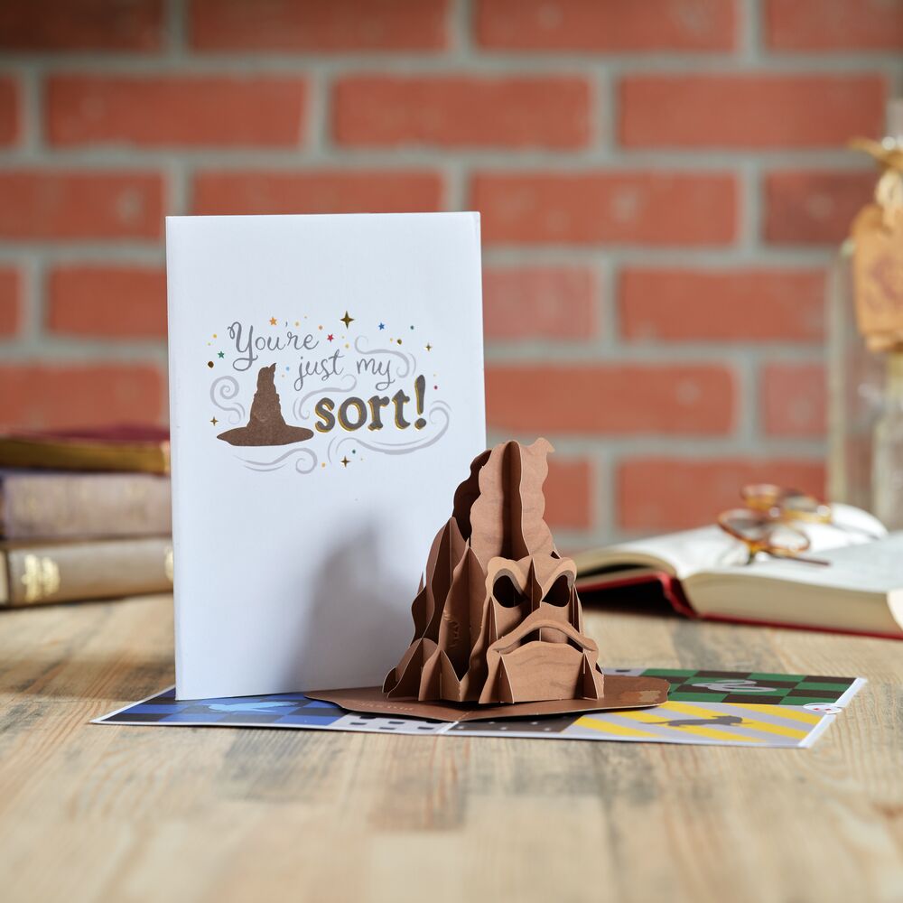 Harry Potter You're Just My Sort Pop-Up Card