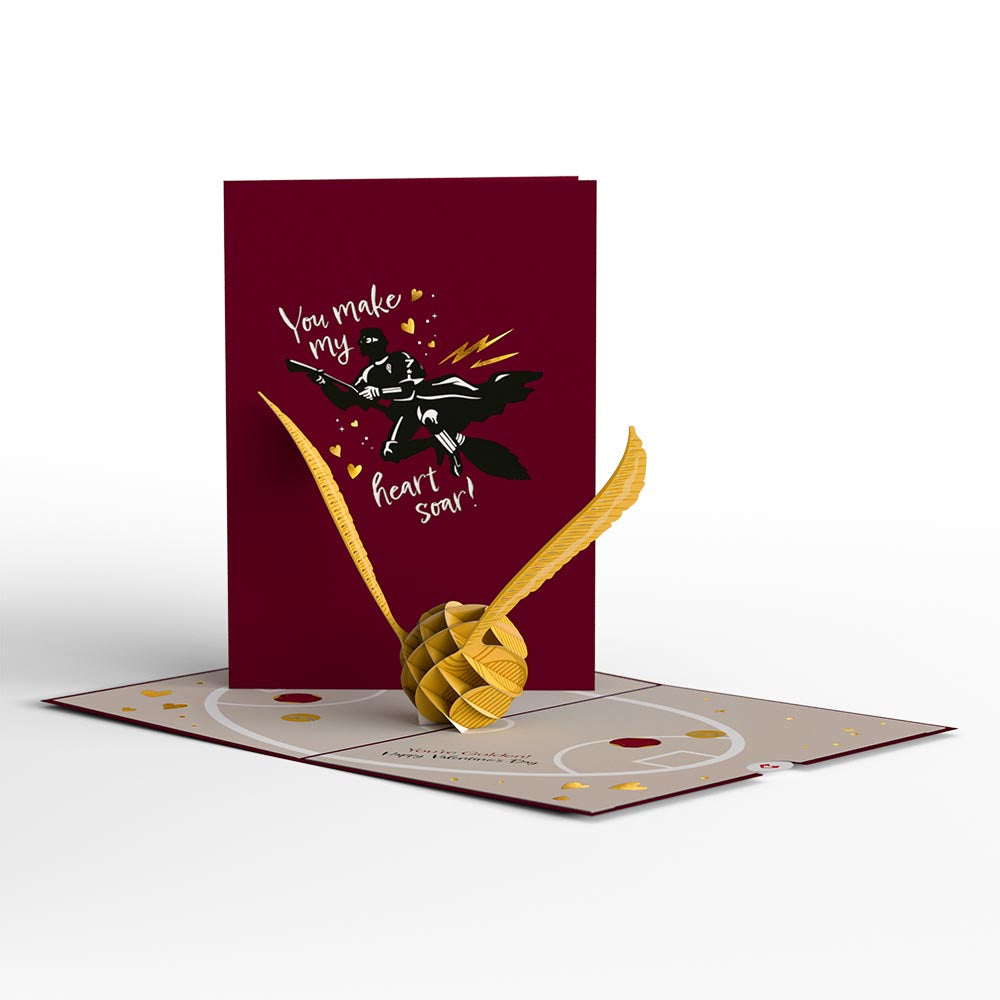 Harry Potter You Make My Heart Soar Pop-Up Card