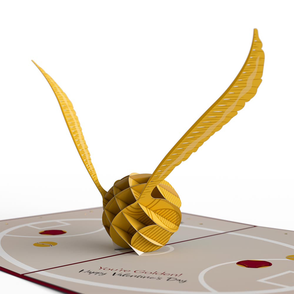 Harry Potter™ You Make My Heart Soar Pop-Up Card
