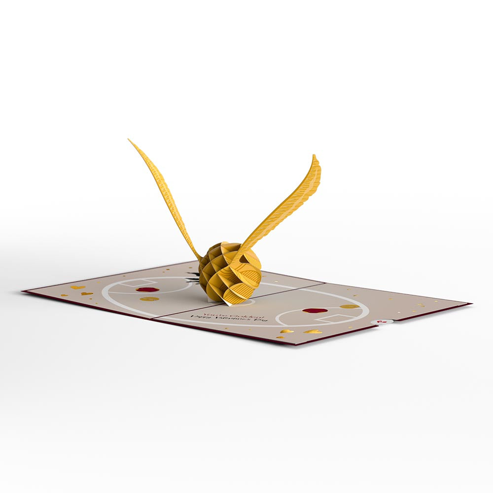 Harry Potter™ You Make My Heart Soar Pop-Up Card