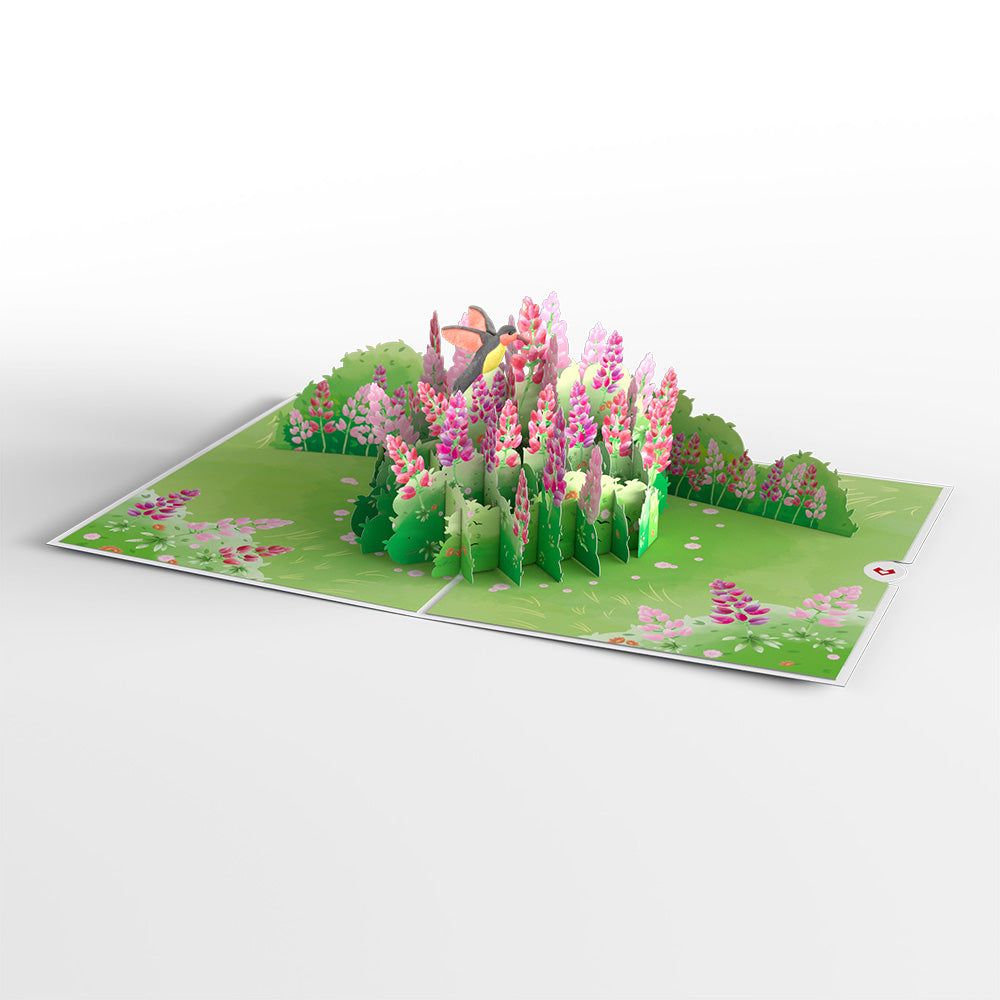 Lupine Hummingbird Valentine's Day Pop-Up Card
