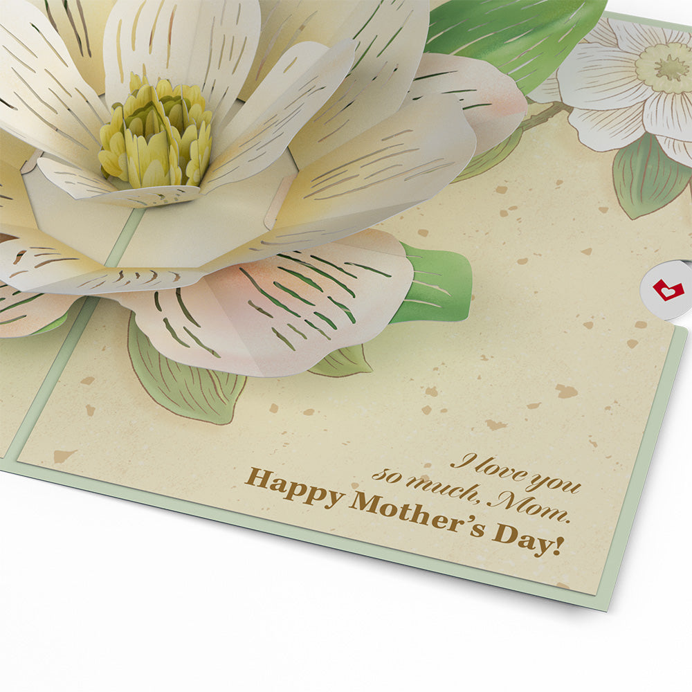 Mother’s Day Magnolia Pop-Up Card