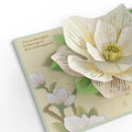 Mother’s Day Magnolia Pop-Up Card