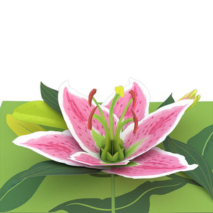 Lily Bloom Pop-Up Card