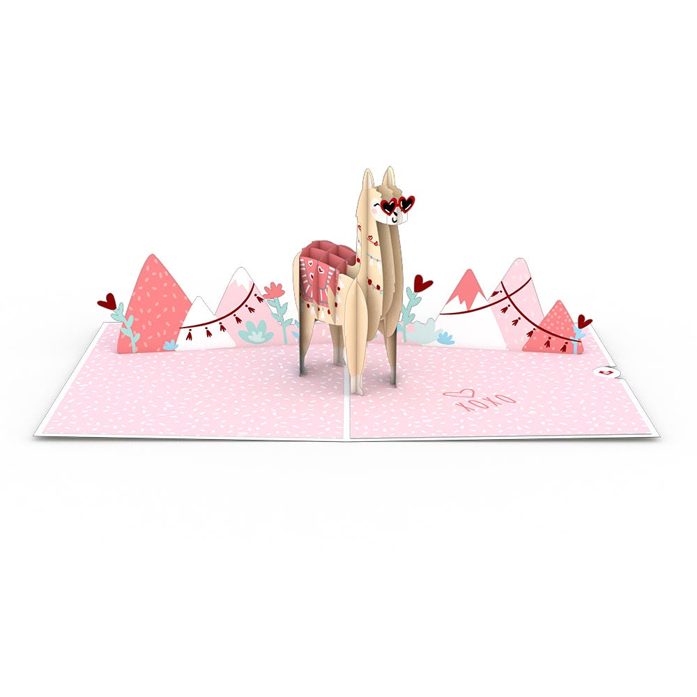 Looking Good Llama Pop-Up Card