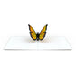 Butterfly Notecards (Assorted 4-Pack)