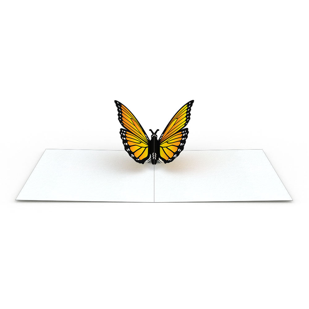 Butterfly Notecards (Assorted 4-Pack)