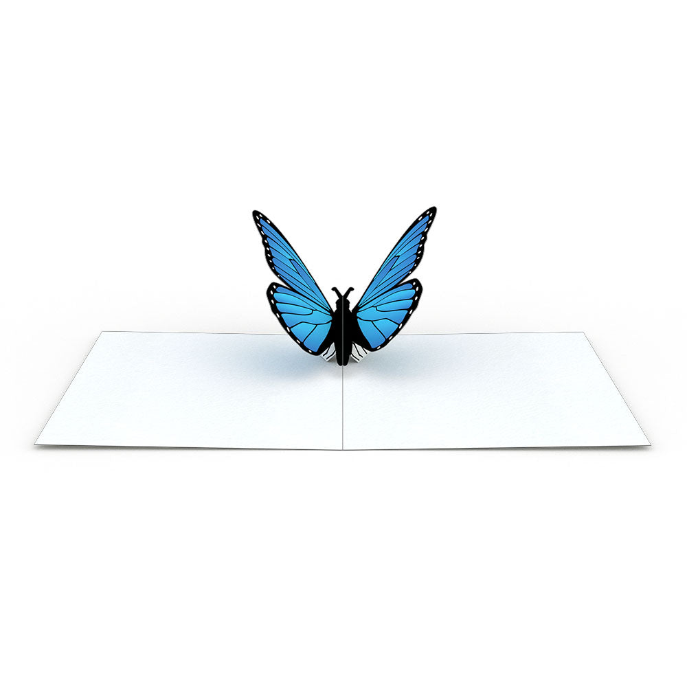 Butterfly Notecards (Assorted 4-Pack)