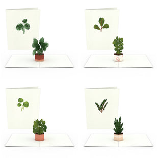 Plants Notecards (Assorted 4-Pack) greeting card -  Lovepop