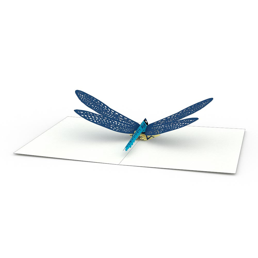 Dragonfly Notecards (4-Pack)