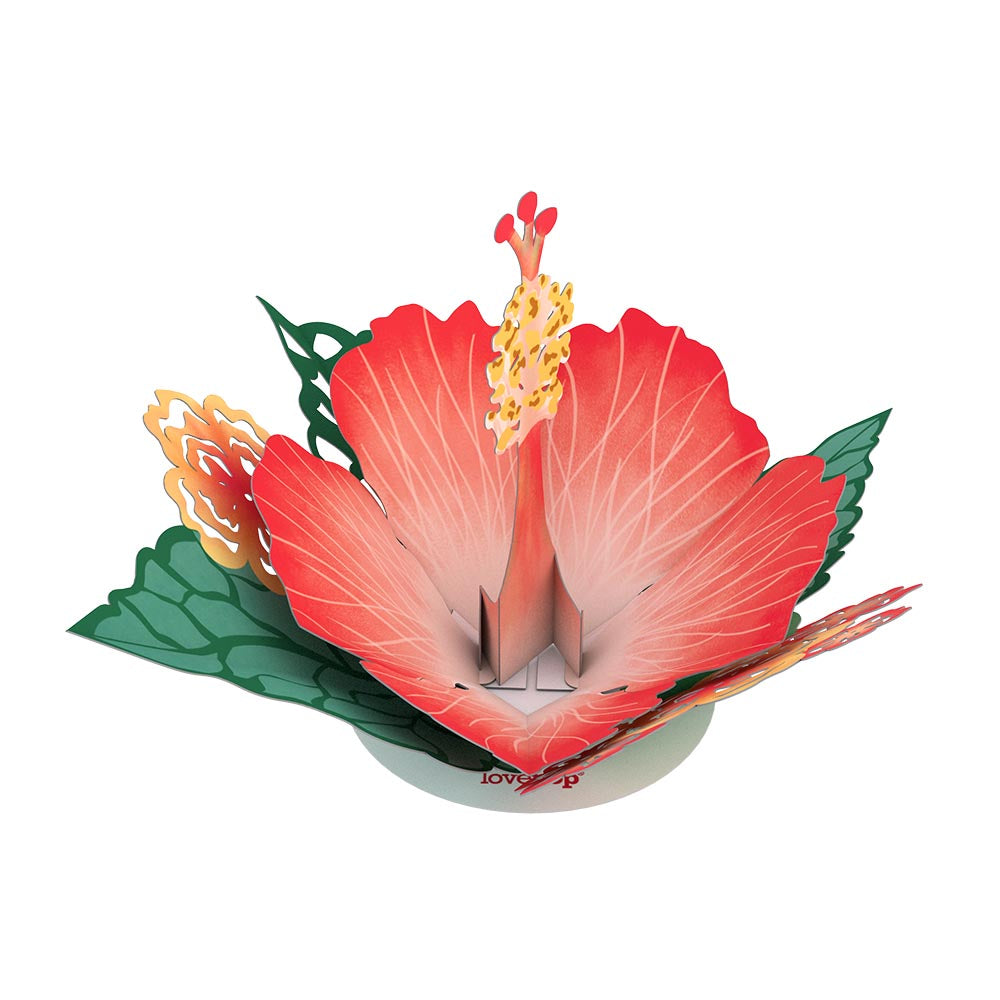 Stickerpop™: Hibiscus Bloom (5-Pack)