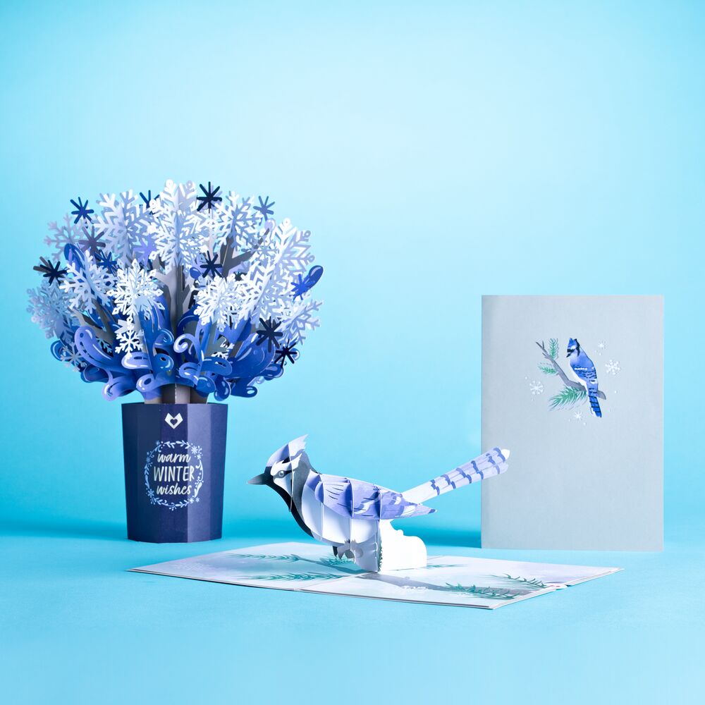 Winter Wishes Blue Jay Bundle