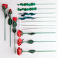 Handcrafted Paper Flowers: Roses (6 Stems) with Lovely Hummingbird Pop-Up Card
