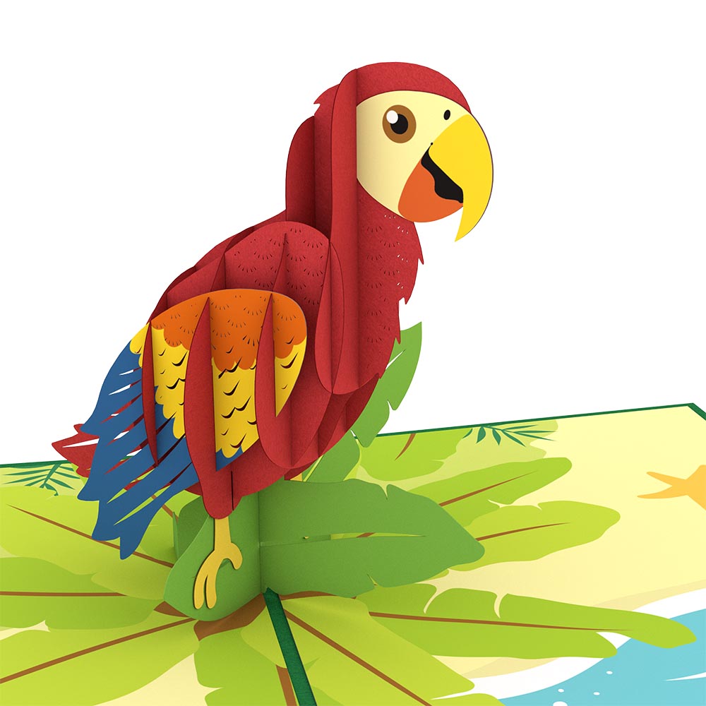 Parrot Pop up Card