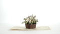 White Flower Basket Pop-Up Card