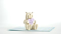 Get Well Bear Pop-Up Card