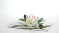 Sympathy Lily Pop-Up Card