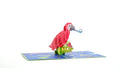 Party Parrot Pop-Up Card