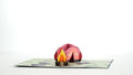 Happy Trails Camping Trip Pop-Up Card