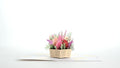 Pink Rose Basket Pop-Up Card