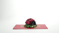 Love Bug Pop-Up Card