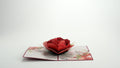 Love Rose Bloom Pop-Up Card