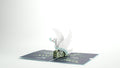 Confirmation Dove Pop-Up Card