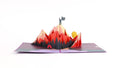 You Did It Mountains Pop-Up Card