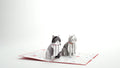 Love Cats Pop-Up Card