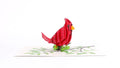 Radiant Cardinal Pop-Up Card