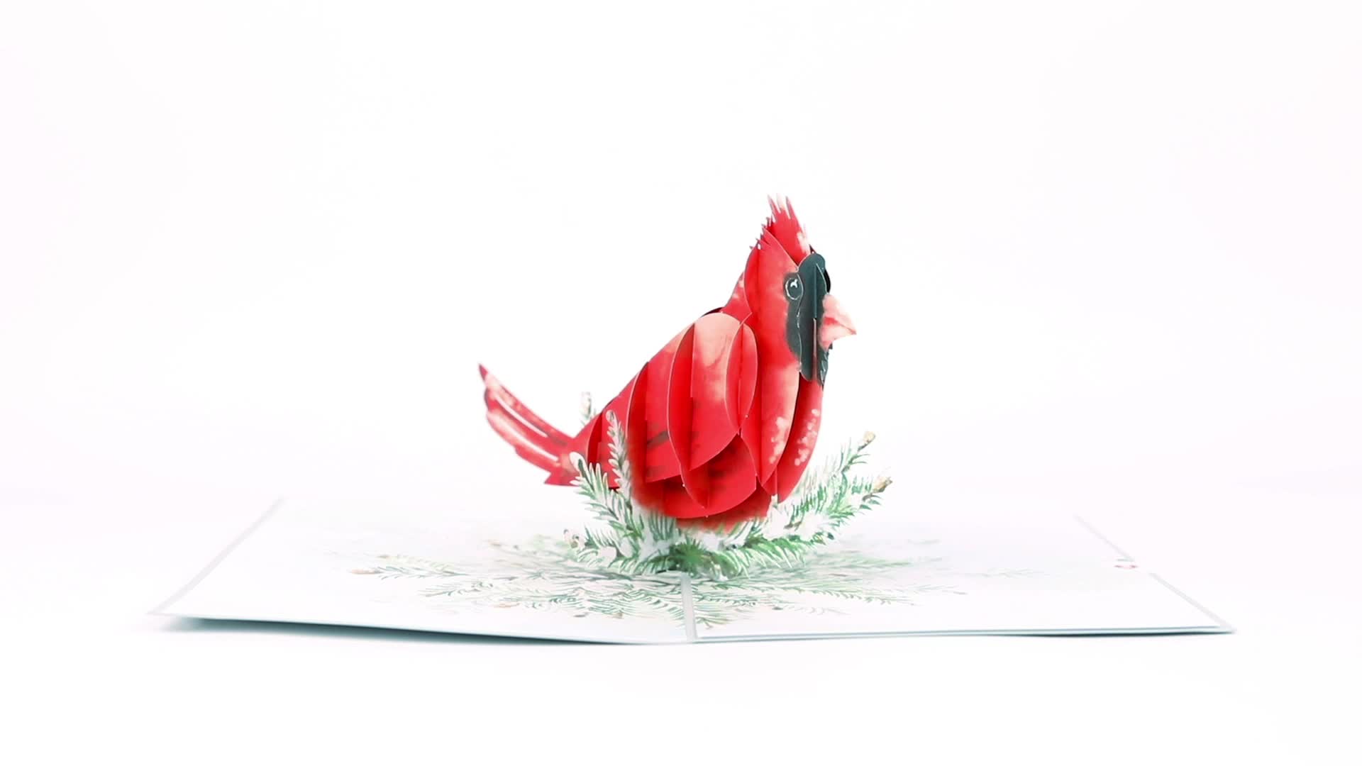 Winter Cardinal Pop-Up Card