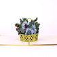 Winter Basket Pop-Up Card
