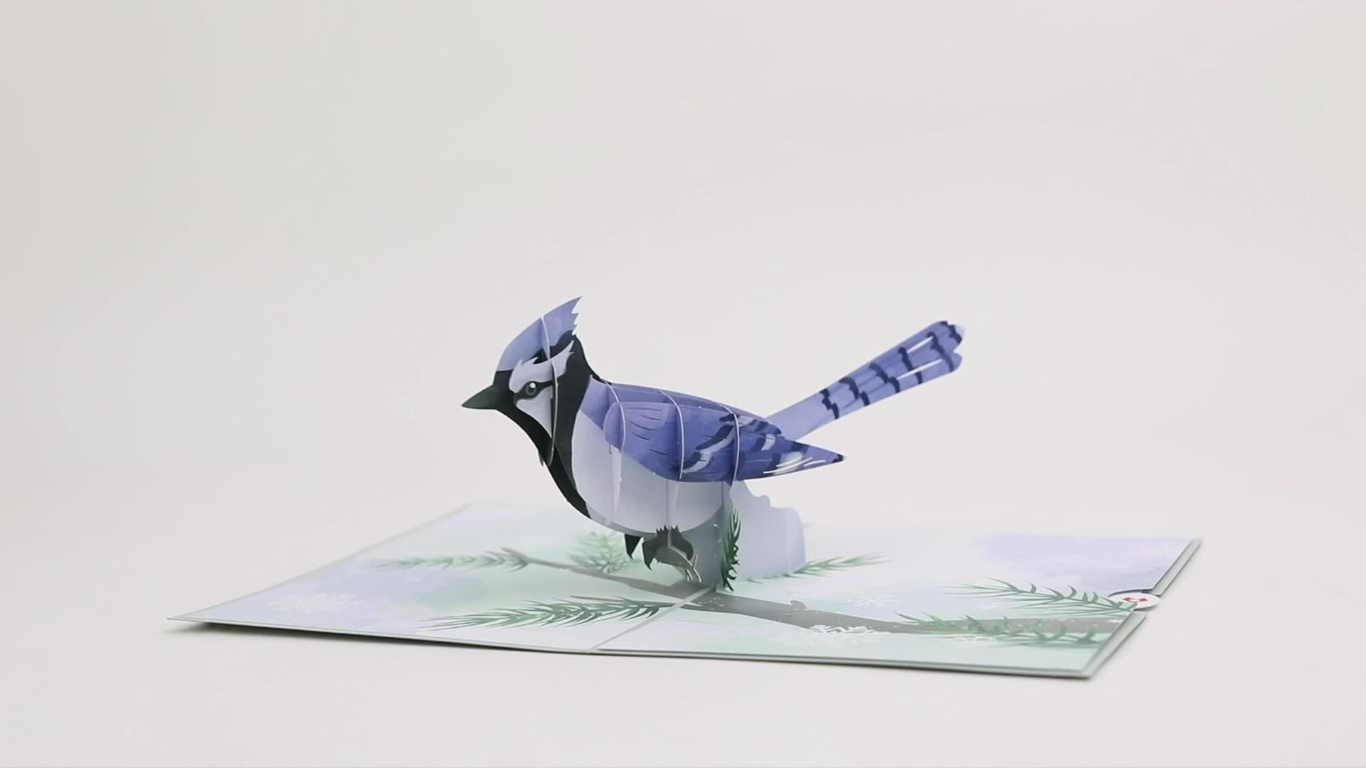 Winter Blue Jay Pop-Up Card