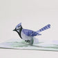 Winter Blue Jay Pop-Up Card