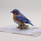 Mother's Day Bluebird Pop-Up Card