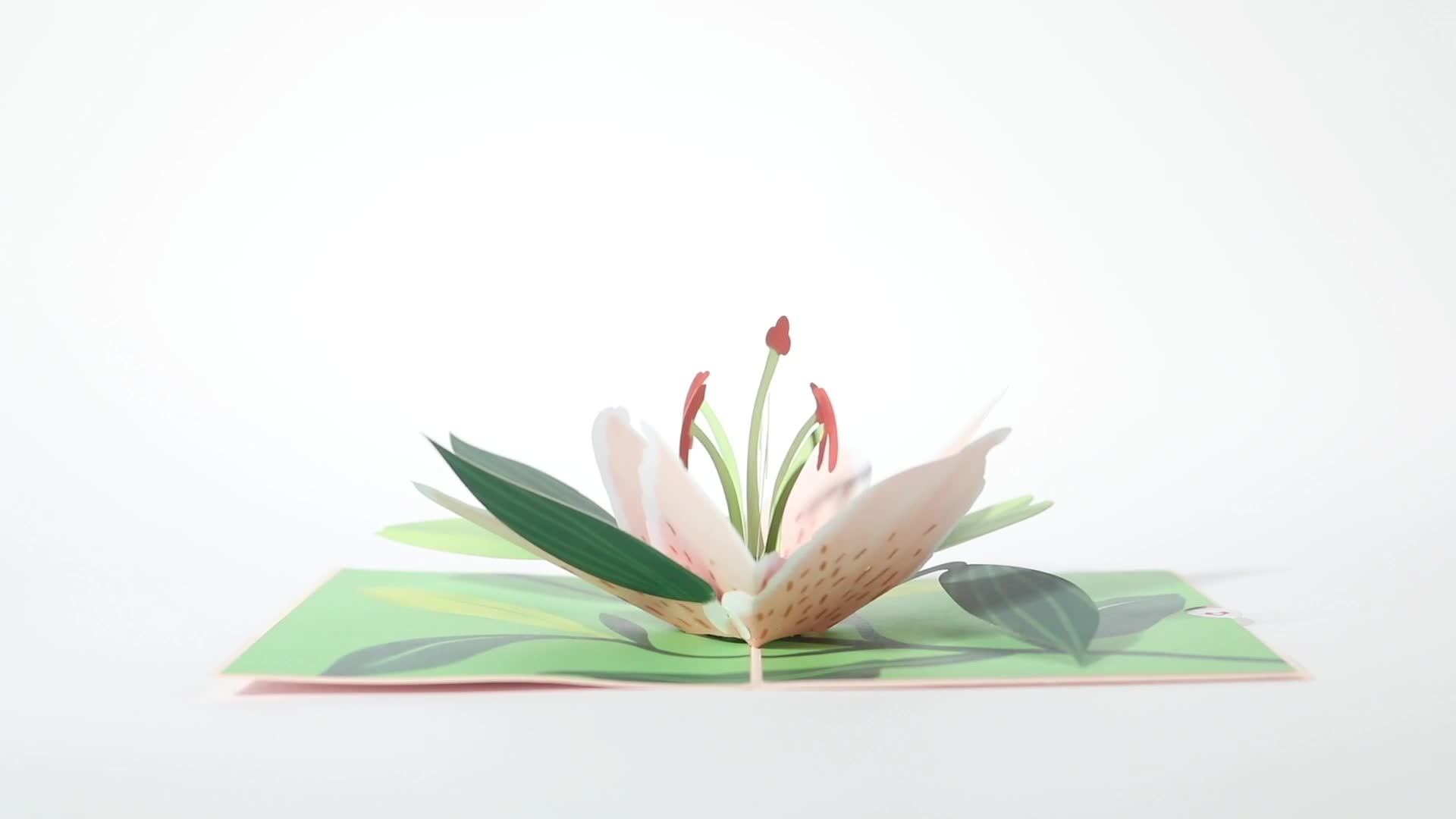 Mother's Day Lily Bloom Pop-Up Card