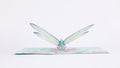 Mother's Dragonfly Pop-Up Card