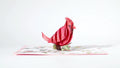 Mother's Day Cardinal Pop-Up Card