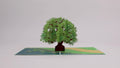 Green Maple Tree Pop-Up Card