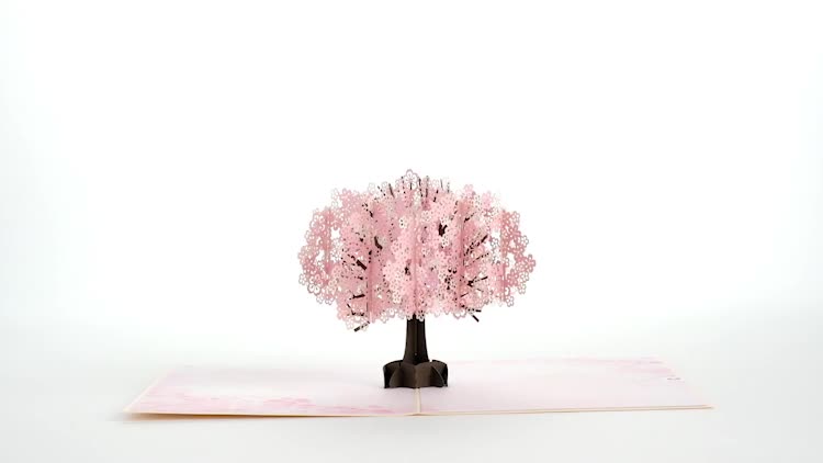 Cherry Blossom Pop-Up Card